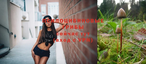 соль ск Алексеевка