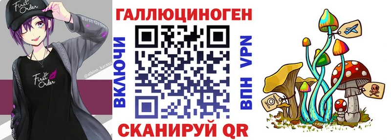 Купить закладки  Удачный  Псилоцибиновые грибы Psilocybe 
